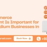 Why Ecommerce Development Is Important for Small & Medium Businesses in Panipat.