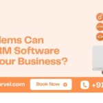What Problems Can Custom CRM Software Solve for Your Business